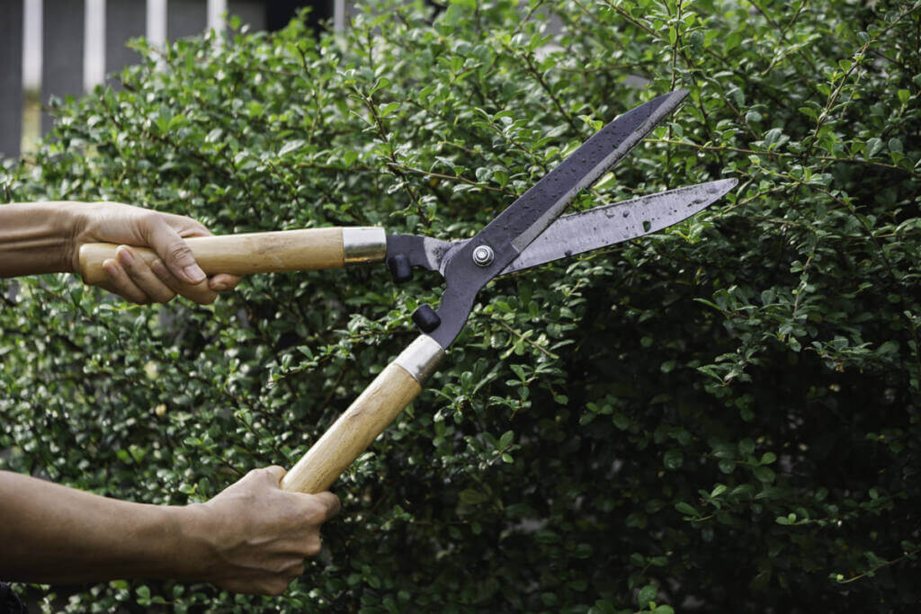 sekator ogrodowy ranking